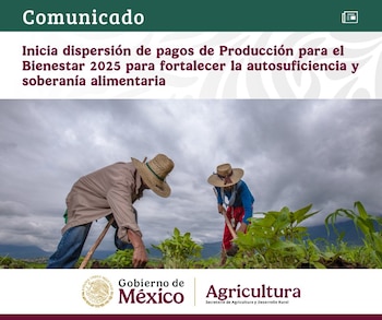 Foto: X: @Agricultura_mex
