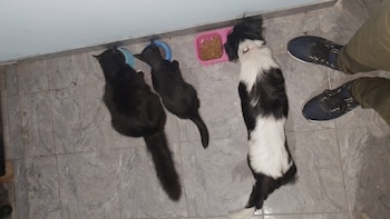 Ellie al lado de sus