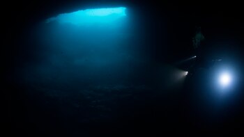 Hallazgo en Quintana Roo: fotógrafo