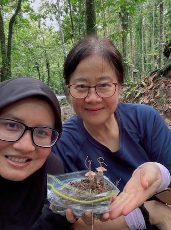 Un trabajo conjunto entre expertos