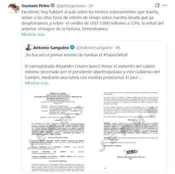 La tutela interpuesta por el