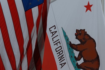 El regreso del oso grizzly