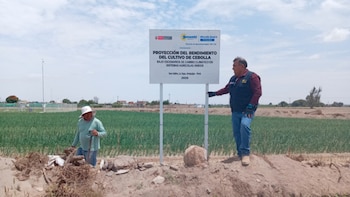 Cebolla y ajo bajo la lupa: Senamhi usa tecnología avanzada para proyectar riesgos climáticos. (Foto: Senamhi)