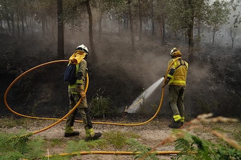 Dos bomberos forestales tratan de extinguir un incendio el pasado 13 de junio en Padrón, A Coruña. (Álvaro Ballesteros / Europa Press)