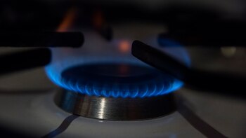 La bancada oficialista presentó en