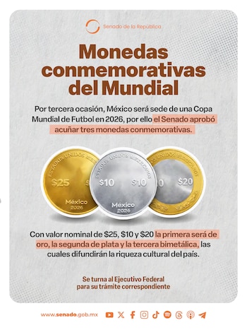 Senado aprueba la creación de