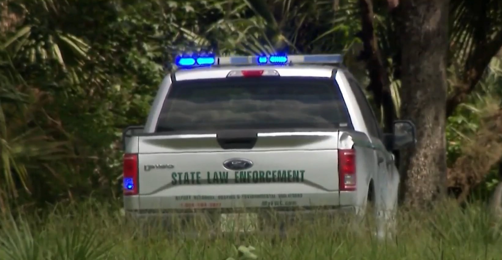 El novio llamó al 911 mientras intentaba sacarla de la boca del caimán, pero la mujer murió camino al hospital por las heridas graves (NBC Miami)