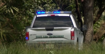 Parte trasera de una camioneta policial plateada con luces azules de emergencia y texto "STATE LAW ENFORCEMENT" en su portón trasero, en medio de vegetación
