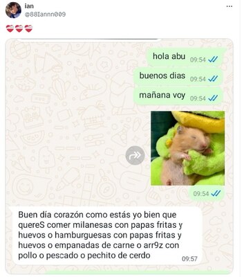 La captura de pantalla que