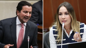 Claves del proyecto que propone