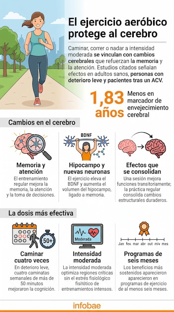 Infografía con una ilustración de una mujer corriendo y varios diagramas de cerebros e iconos sobre los efectos de la actividad física.