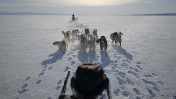 El daño pulmonar persiste en