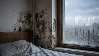 Cuáles son los riesgos de dormir en una habitación con humedad y qué hacer para eliminarla