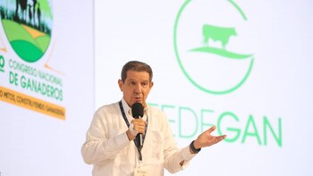 Así funcionarían las brigadas solidarias