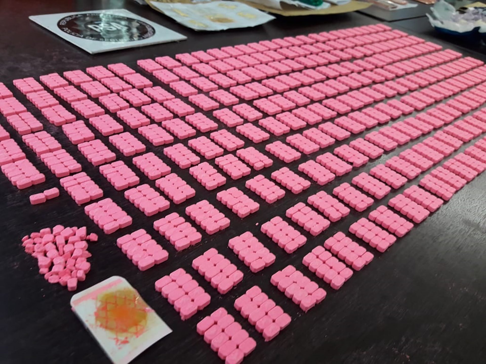 A través de la Resolución 1038/2025, el Ministerio de Seguridad creó el Centro Regional de Información para la Lucha contra las Drogas, con énfasis en drogas sintéticas y nuevas sustancias psicoactivas