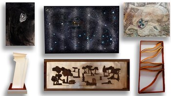 El Museo de Arte Latinoamericano