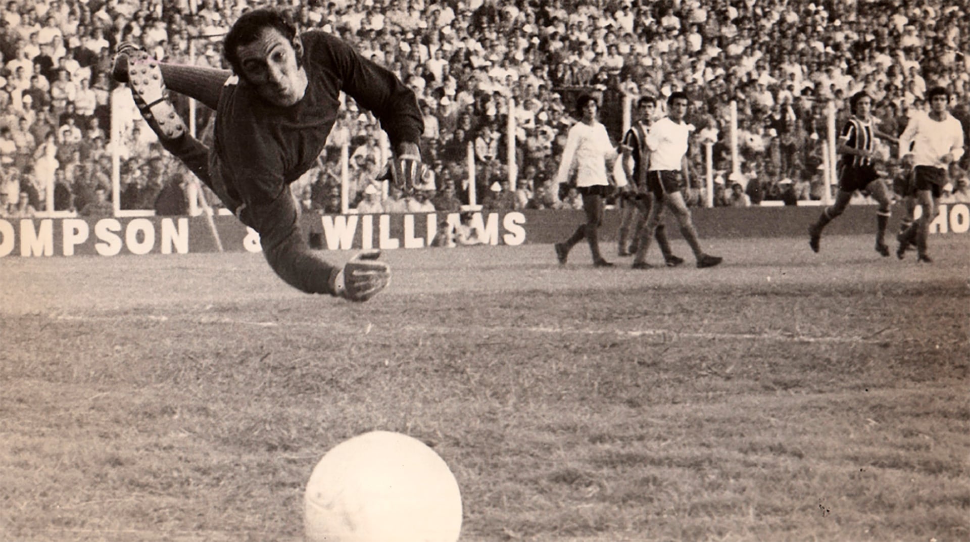 El Flaco Poletti, para muchos el mejor arquero de la historia de Estudiantes