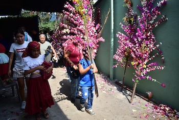 Niña con traje tradicional sostiene figura religiosa. Niño porta rama. Gente en procesión. El camino está decorado con ramas y flores rosas y moradas