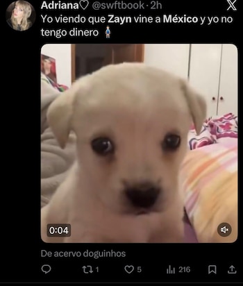 (captura de pantalla)