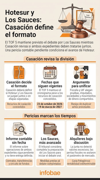 Una infografía con ilustraciones de una balanza de la justicia, carpetas de expedientes, un calendario y bloques de texto informativo.