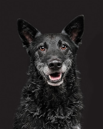 Hubo una época que el