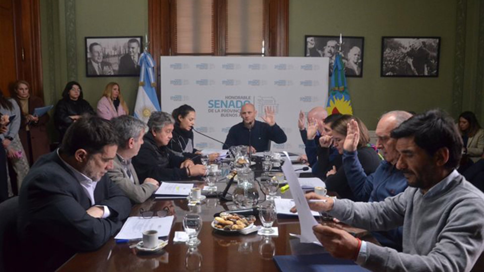 La Comisión de Legislación General en el Senado aguarda precisiones para avanzar o no con el proyecto de reelecciones indefinidas (Senado PBA)