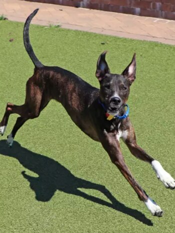 Cientos de personas en redes