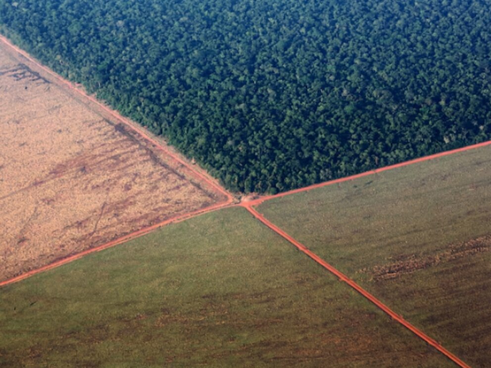 La Unión Europea endurece controles por deforestación y complica exportaciones argentinas y brasileñas