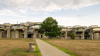 Aproximadamente el 40% de los