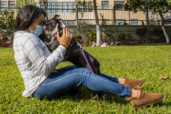 Ante un caso de envenenamiento,