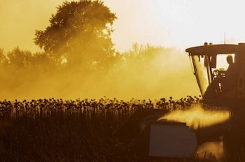 Algunas zonas de Ucrania enfrentan