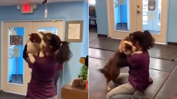 Emotivo reencuentro: un perro adoptado y su cuidadora desatan una oleada de amor en redes sociales. (Instagram)