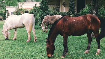 Processed with VSCO with e5