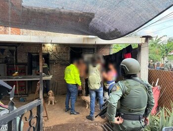 Operativos en el Cauca desmantelan