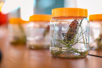 Fotografía cedida por presidencia de