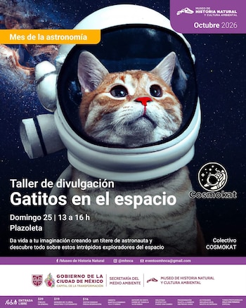 El Colectivo Cosmokat organiza el taller "Gatitos en el espacio" dentro de la programación de octubre. (Foto: X/@mhnca)