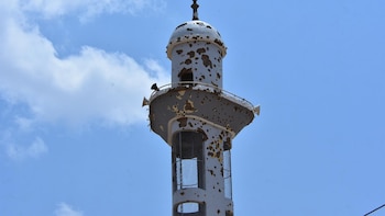 Una ONG denuncia casi 30