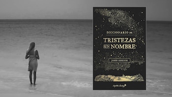 El diccionario de palabras que