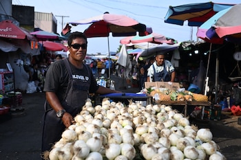 Canasta básica El Salvador, Centroamérica, Frutas y verduras, economía salvadoreña