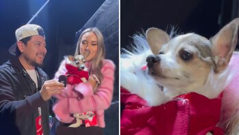 Callejeros FC, el equipo que cambia vidas con sus goles y sus acciones por los animales (Instagram callejerosfcmx/Paquideus/Mafershof)