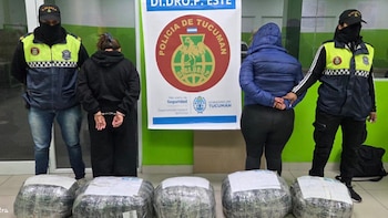 Dos mujeres se enviaron una encomienda de Salta a Tucumán con 48 kilos de marihuana y las detuvieron