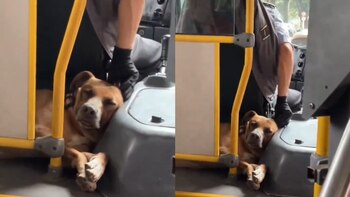 Conductor del Sitp que hacía