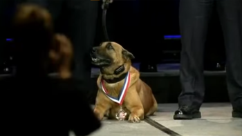 Edo fue condecorado por su