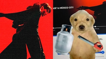 Los fans de BTS reaccionaron