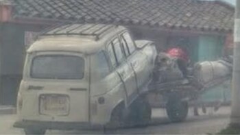 Normas de bienestar animal indican