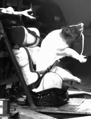 (International Journal of Crashworthiness)