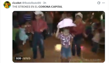 Memes Corona Capital