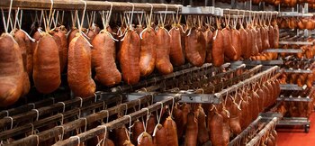 Proceso de elaboración de la