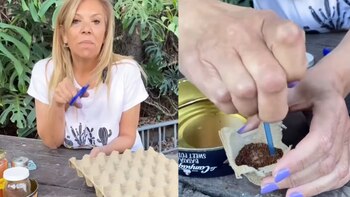 Recorta uno de los compartimentos