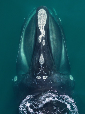 A photo provided by John